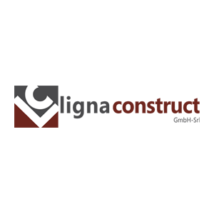logo LIGNA COSTRUCT